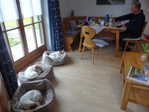 Wohnung EG
