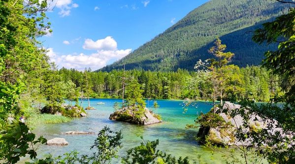 Zauberwald und Hintersee
