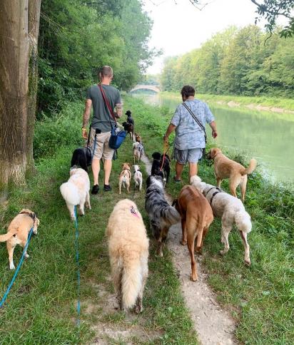 Georgie in der Hundeschule, der kleinste Schüler