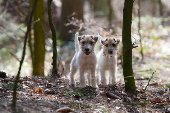 Jule und Ellie