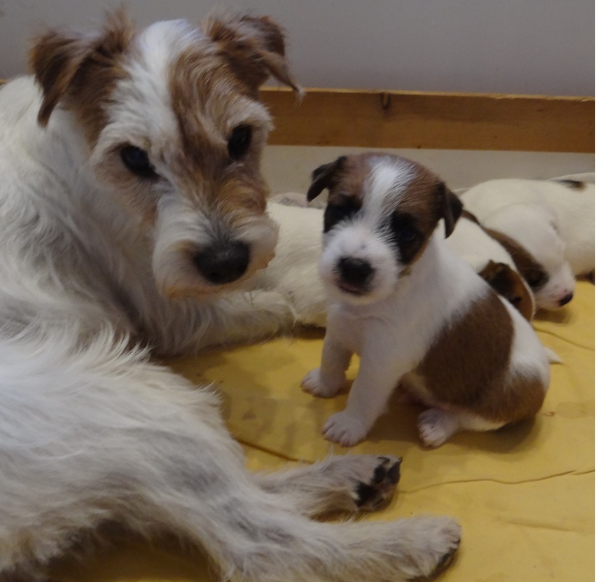 Merle liebt die Urenkel