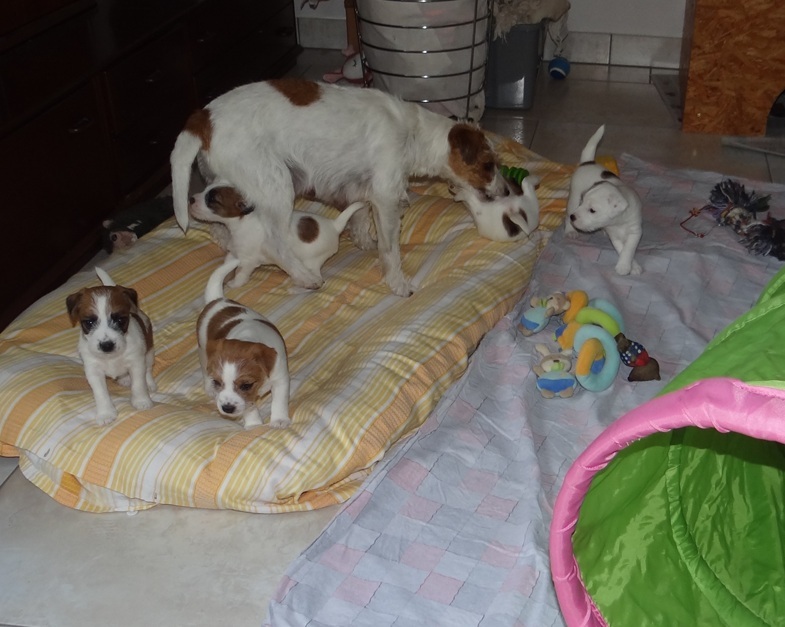 Gespielt im Spielzimmer