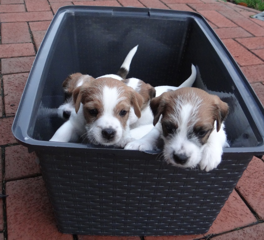 Natürlich müssen wir draußen Pipi u Häufchen machen,