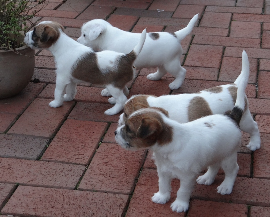 aber aller Anfang ist schwer