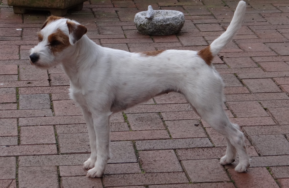 Ylvie ( Unique of Power and Beauty)